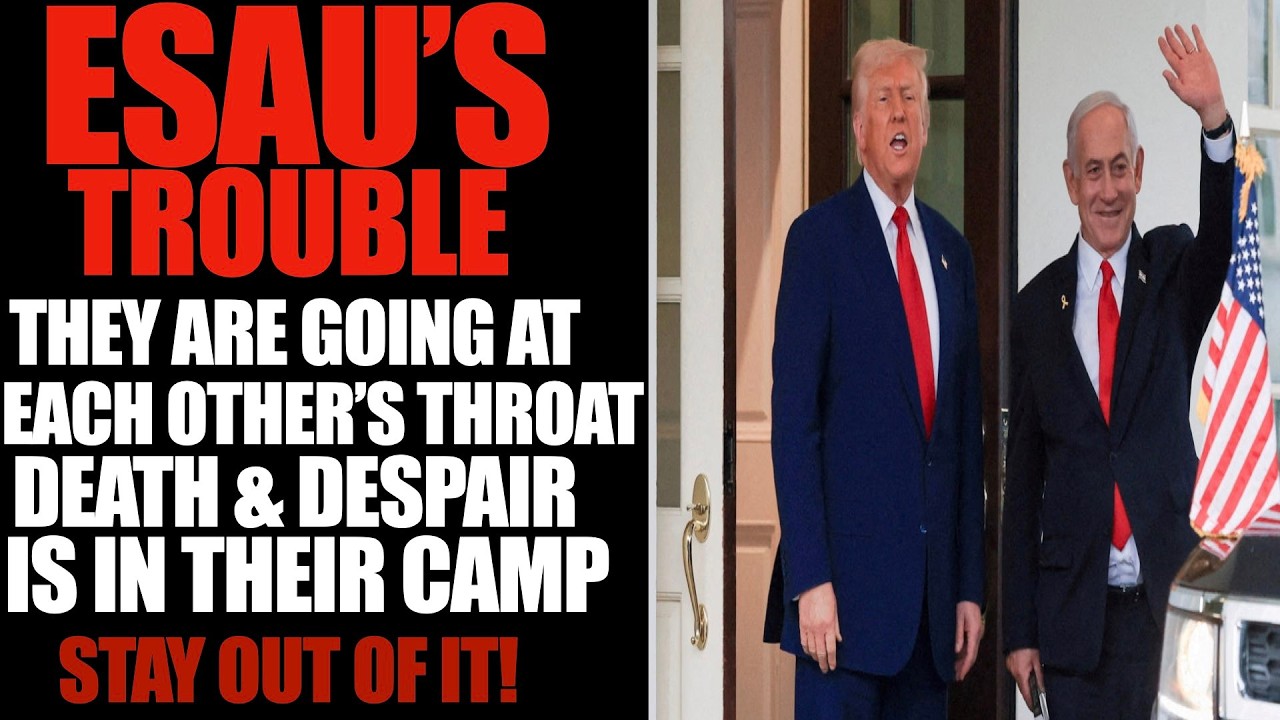 Wisdom is better than weapons of war: but one sinner destroyeth much good.