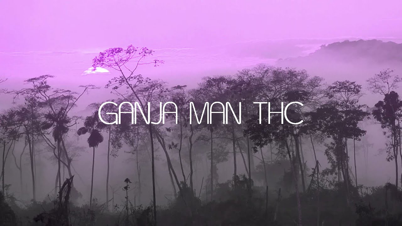 Cannabis grow update seedlings for 2021 outdoor season