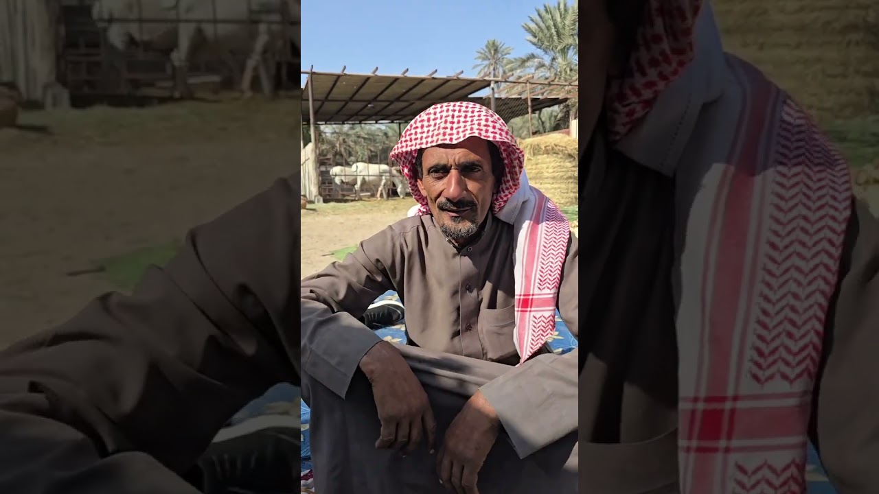سواليف المزارع الفلاح  مسلم البراهيم بومحمد يوم الجمعة بتاريخ2025/01/17#الفلبين #travel #automobile