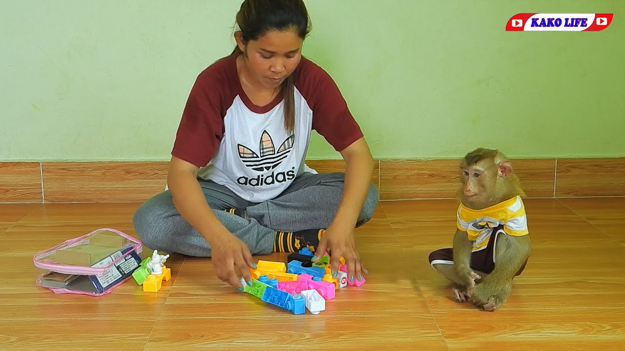 KAKO LIFE | Little KAKO Unboxing And Play Puzzle Toys