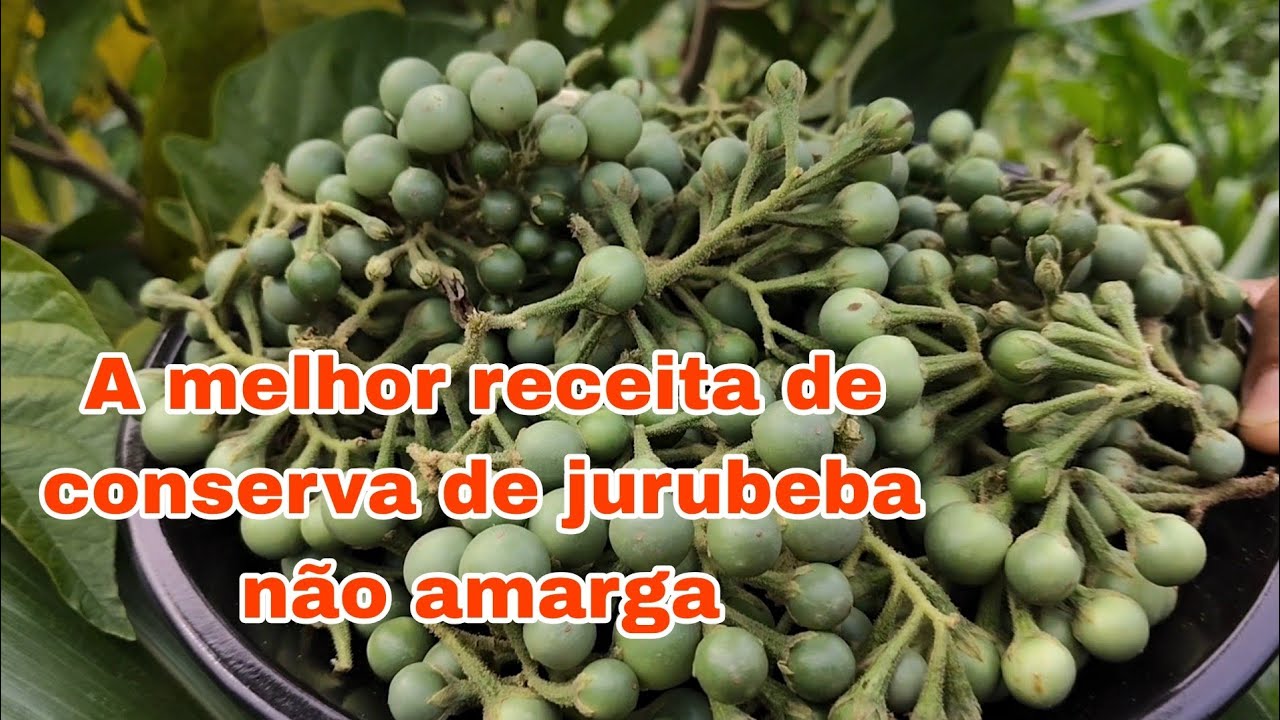 Como fazer jurubeba em conserva fácil e saudável.