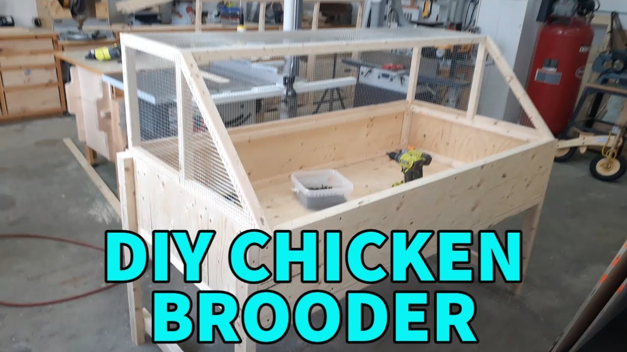 DIY CHICKEN BROODER