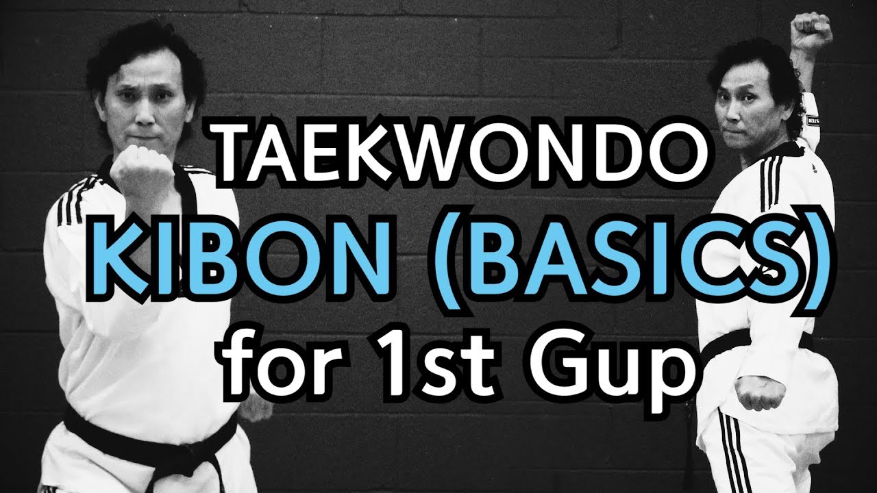 🥋 Taekwondo 1st Gup Kibon (Basic Blocks, Strikes and Thrusts) | TaekwonWoo