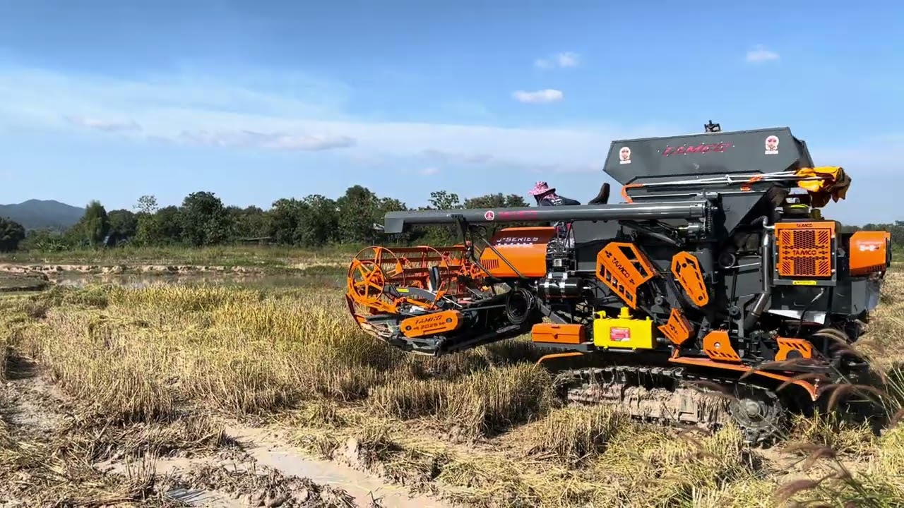 รถเกี่ยวข้่าวแทมโก้C2500E 2025…รถเกี่ยวข้าวขนาดเล็ก รุ่นใหม่ล่าสุดTAMCO 🌾🔥🇹🇭 #รถเกี่ยวข้าว #fyp 