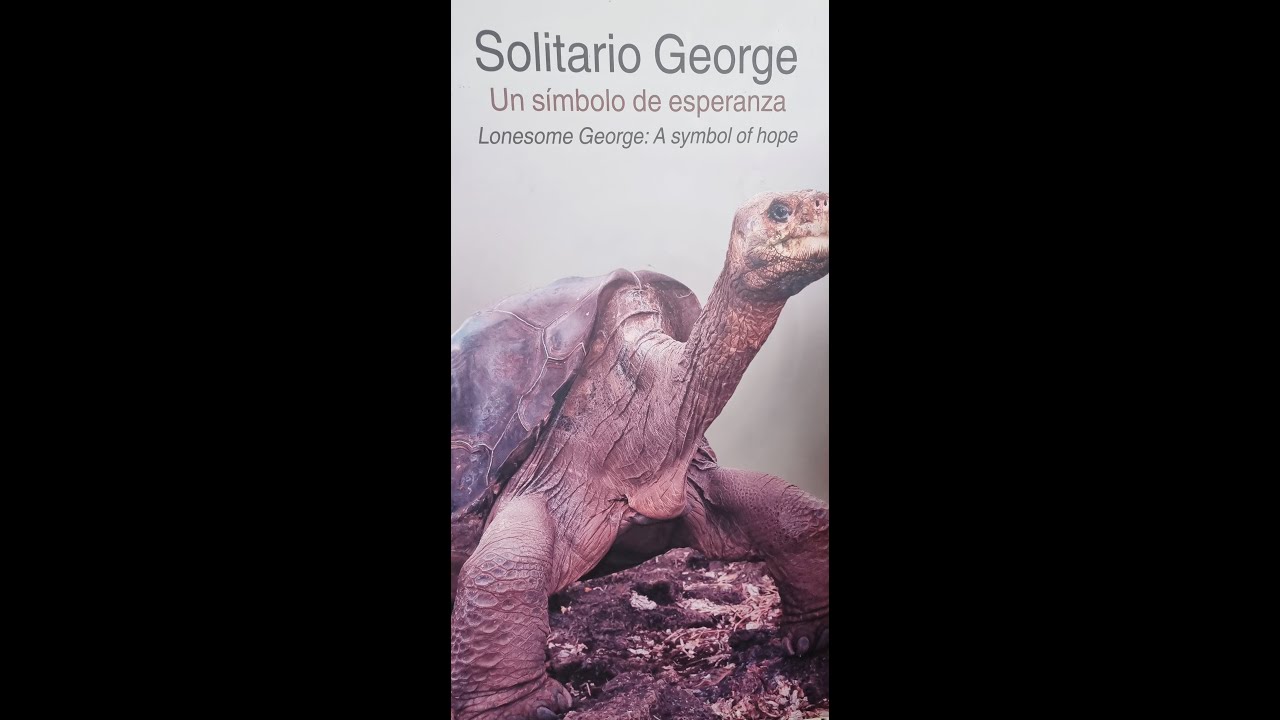 Galapagos Islands Tour .Seven days with G Adventures October 2024
