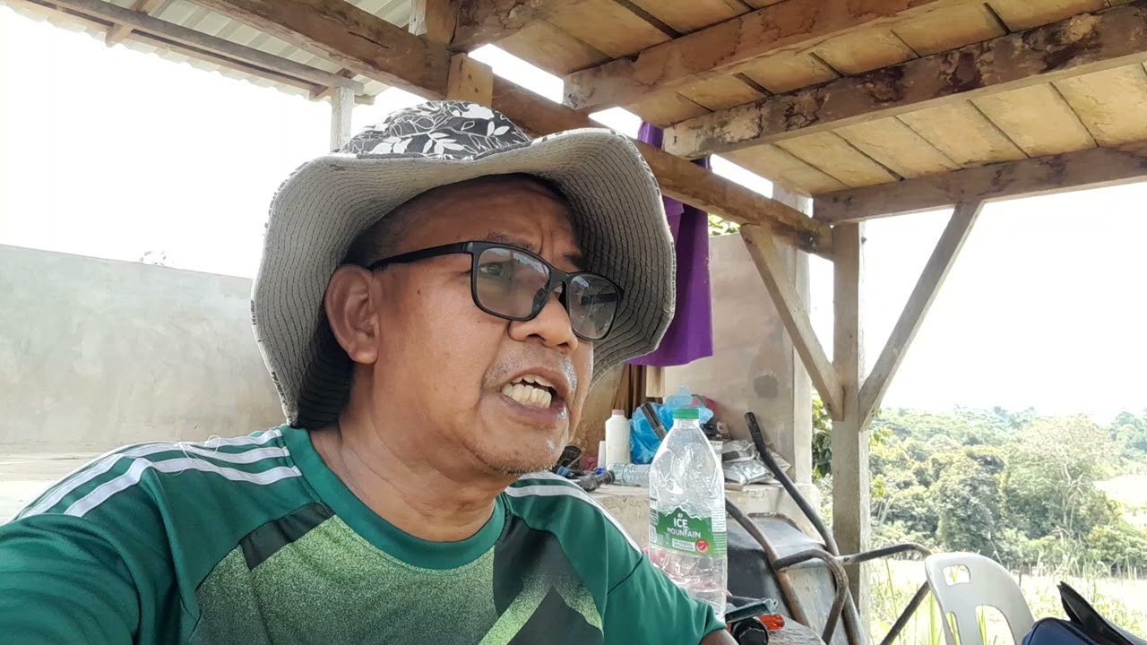 PEMBANGKANG DAYUS, BILA RINGGIT KUKUH, EKONOMI BAIK MEREKA DIAM