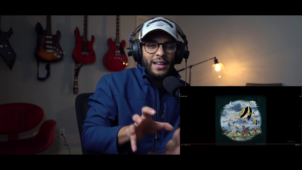 Plini - Impulse Voices (REACTION!) |CSProductions.29| #Plini