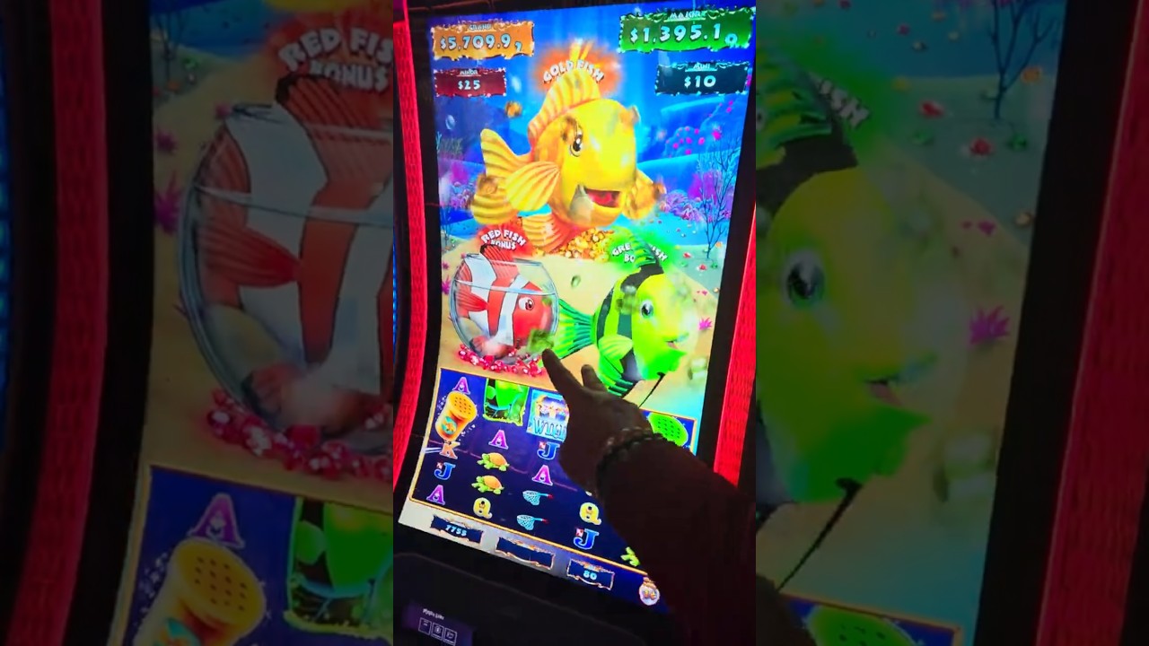 Slow roll. Green and Gold fish bonus for Super Free Games.