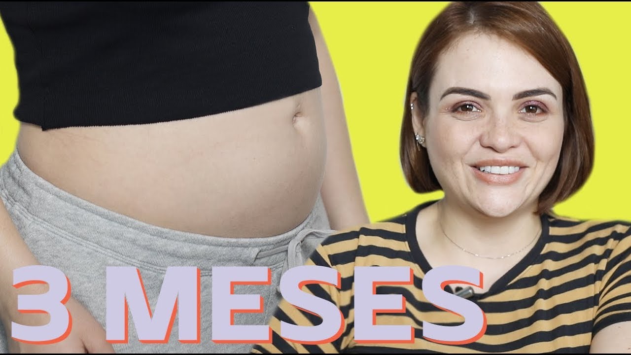 GRAVIDEZ: 3 PRIMEIROS MESES • Karol Pinheiro