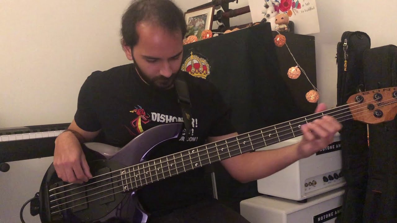 Iron Maiden - Wasted Years (Bass Cover)