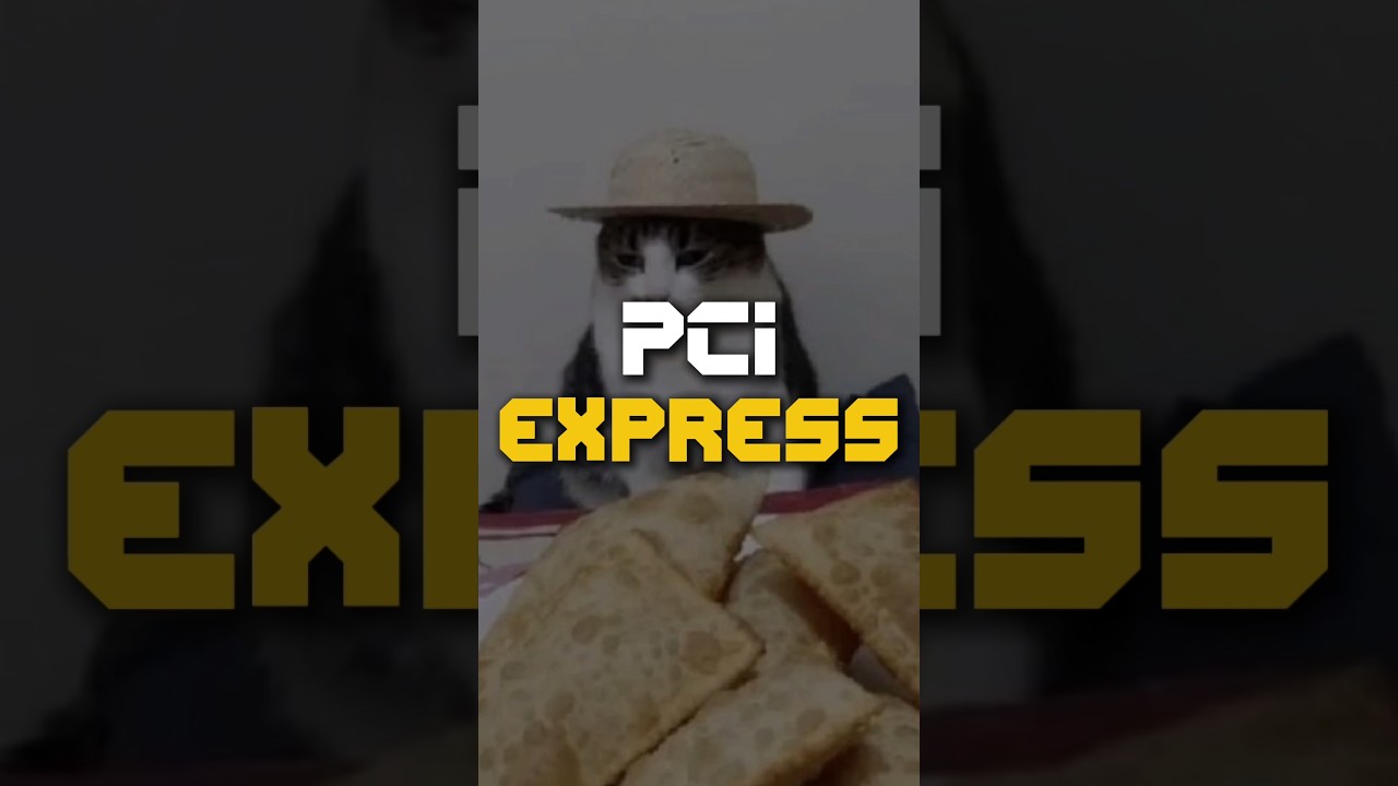 O que &eacute; PCI express? Placa de video, placa m&atilde;e, SSD