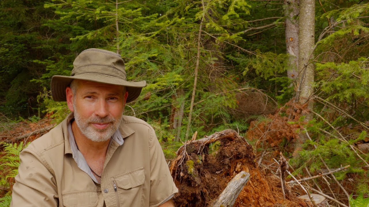 Production on the Homestead - Greenhouse, Garden, Wood Foundation and Sawing Lumber Off Grid