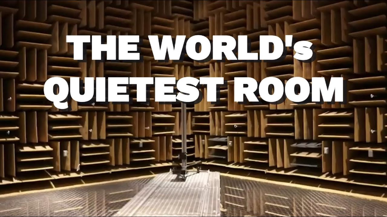 Discover Microsoft's Quietest Room: Would You Stay for $2 Million?