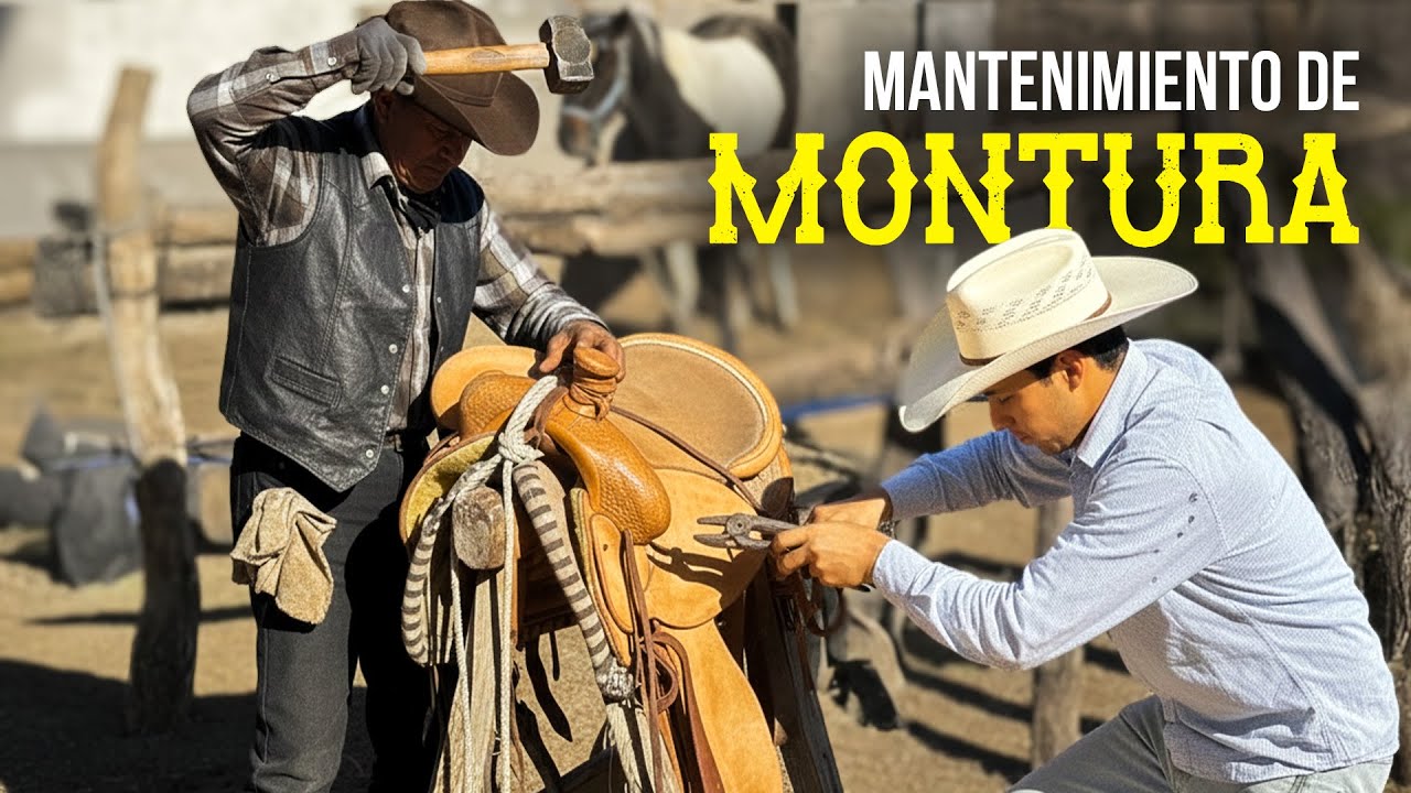 ¿Cómo darle mantenimiento a nuestra MONTURA y que dure por AÑOS?