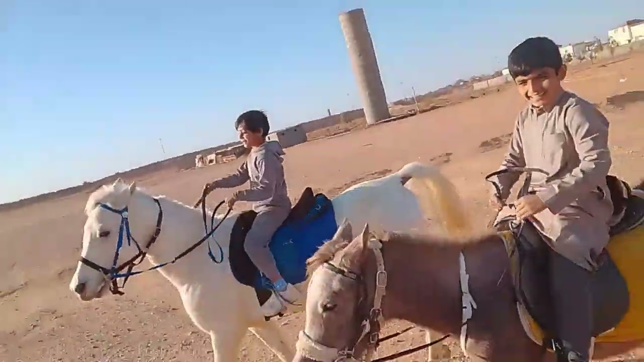 اليوم طلعنا وا معنا امير 