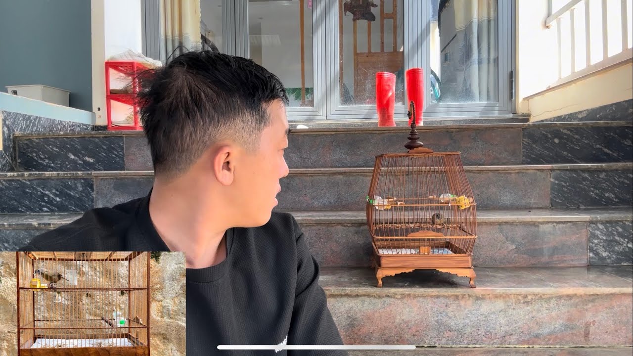 CÁCH CHĂM SÓC CHIM TIỂU MI DỄ ẸT 
