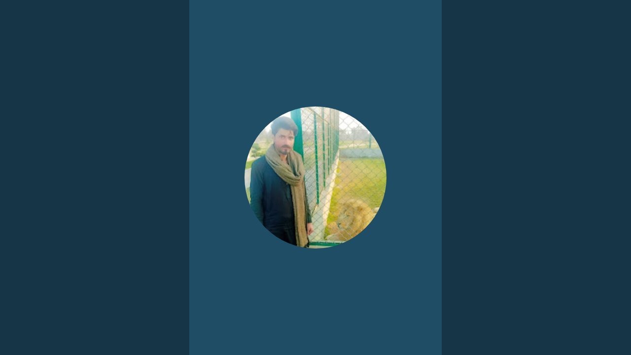 Adiii is live!