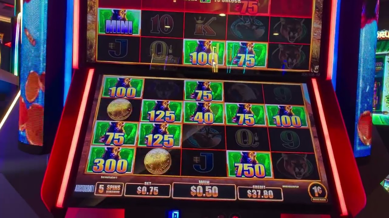 Awesome win on this buffalo game @ Golden Gate Casino 