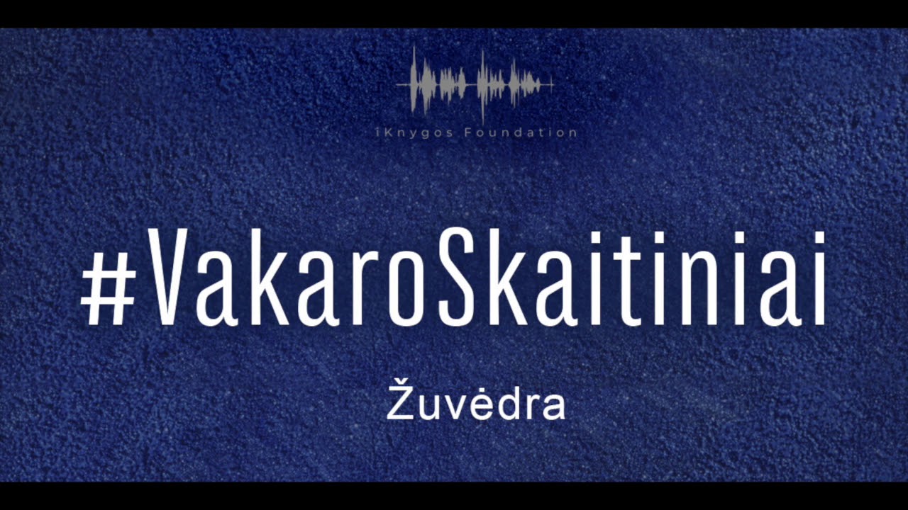 Minciusala.lt - #VakaroSkaitiniai | Žuvėdra | #10
