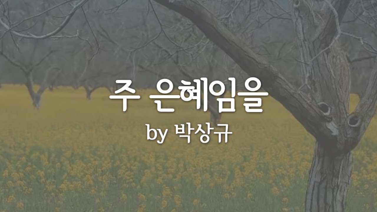 주 은혜임을 by 박상규