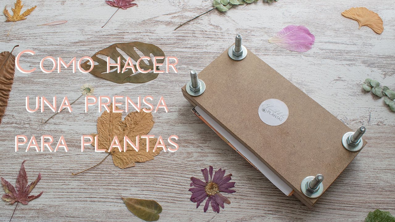 Como hacer una prensa para secar y conservar plantas