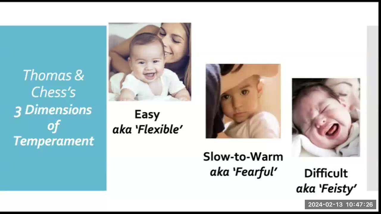 Ch3 Infancy & Toddlerhood Psychosocial Dev 22m55s