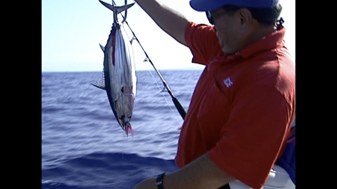 Fishing Tales: Trolling for Aku in Kona