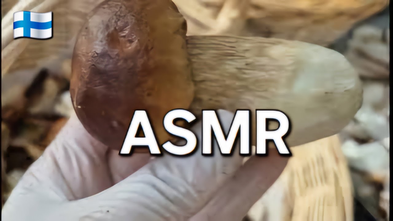 ตัดขาเห็ด ASMR ใครหลับยกมือ 🙋‍♀️😁 3.9.2025 🇫🇮