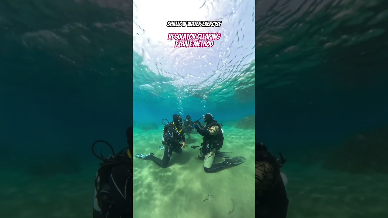 #SSI skill review learned in the Open Water certification - Divemaster Day 6