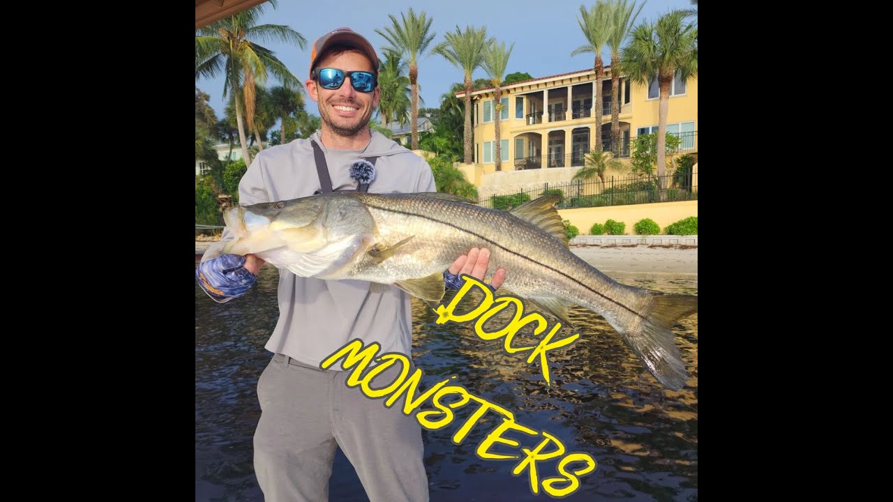 HUGE Snook and Tarpon in Stuart, FL