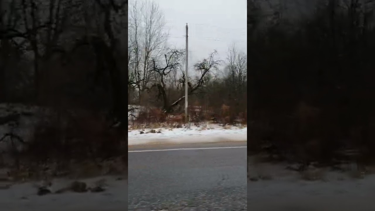 Полудобитая деревня