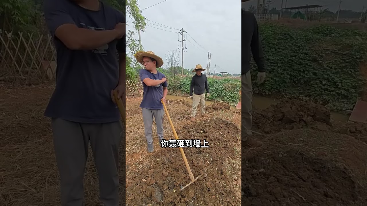 我们种的菜被偷跑出来的鸡啃光了，干脆重新种，不破不立。 这几个月我们深刻体会到了刀耕火种，课本里的汗滴禾下土也在很多个时刻具象化。也感谢各位精神股东不厌其烦地指导和关注。种豆南山下，草盛豆苗稀已经