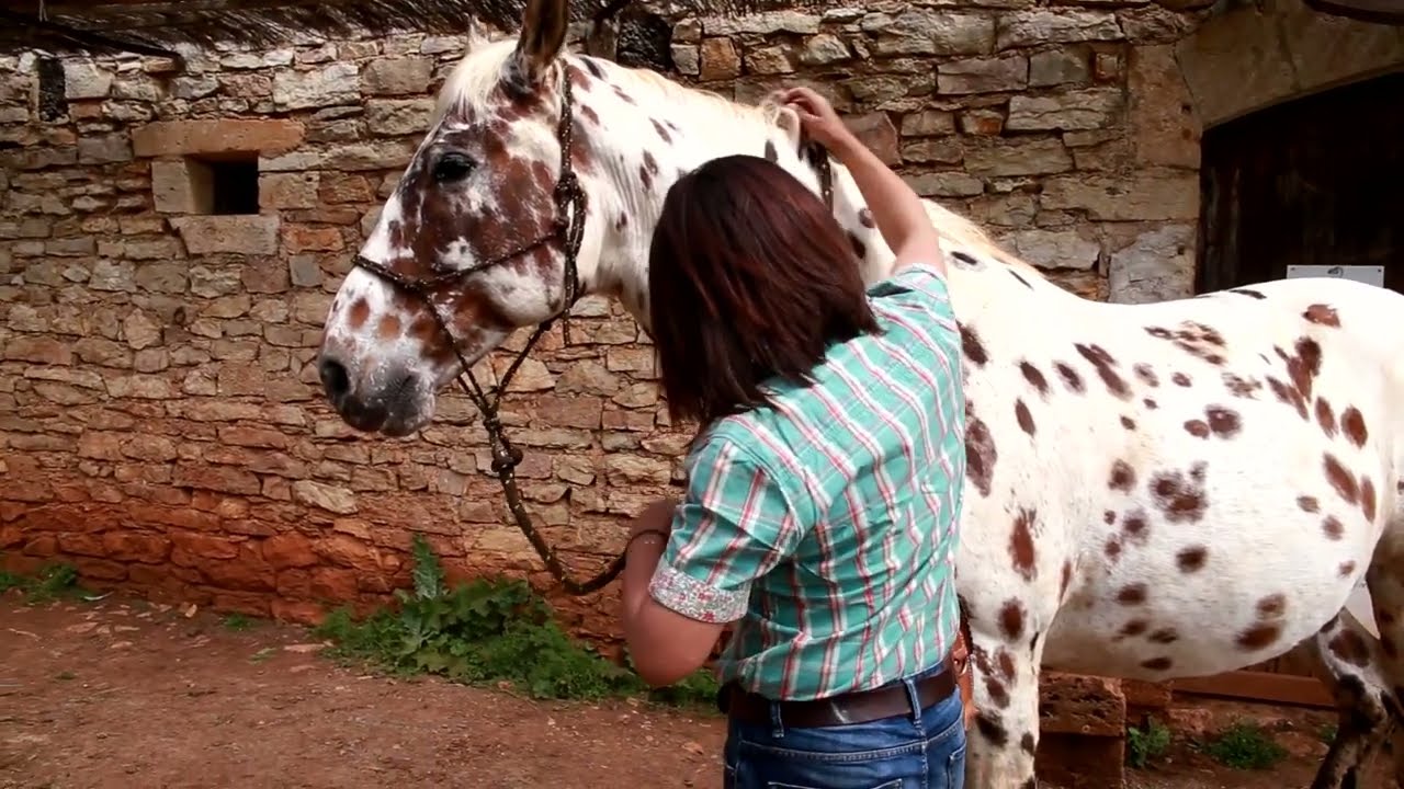Tuto 11 - Créer 2 rênes pour monter à cheval avec un licol éthologique
