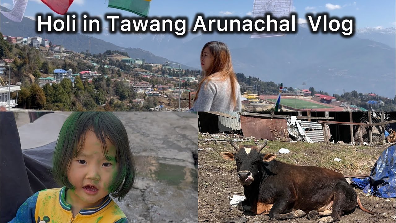 Holi in Tawang Arunachal  Vlog 