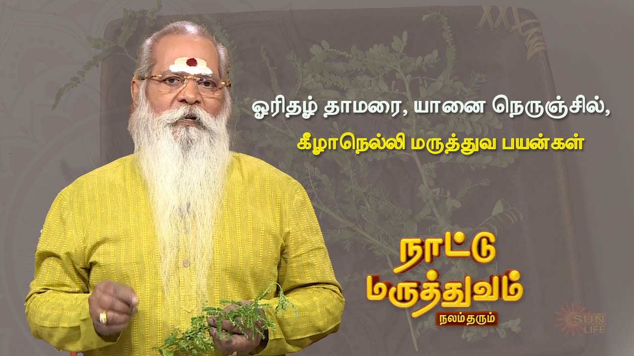 ஓரிதழ் தாமரை, யானை நெருஞ்சில், கீழாநெல்லி மருத்துவ பயன்கள் | Naattu Maruthuvam | Sun Life