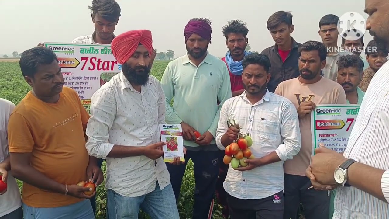 ਜਿਆਦਾ ਪੈਦਾਵਾਰ ਕਿਸਾਨ ਮਾਲਾਮਾਲ 