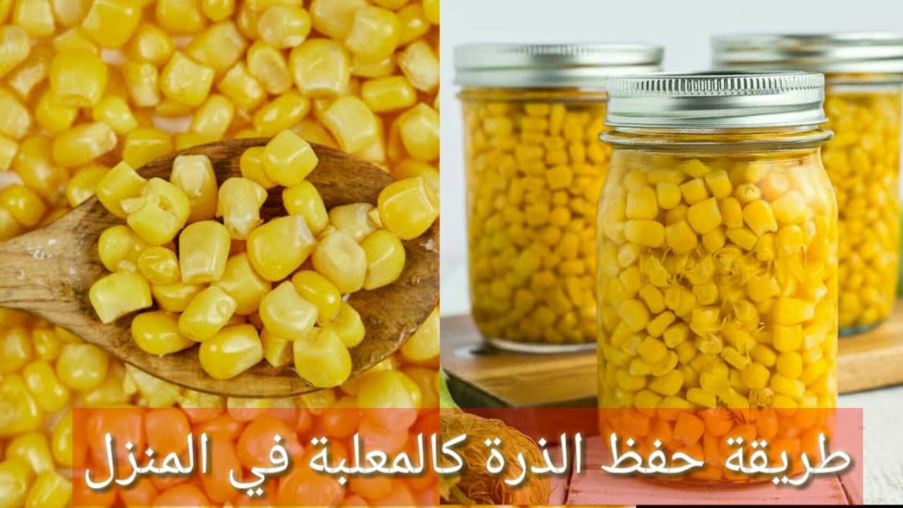 خزني الذرة سنة كاملة🌽 بأفضل طريقة ومضمونة💯💯