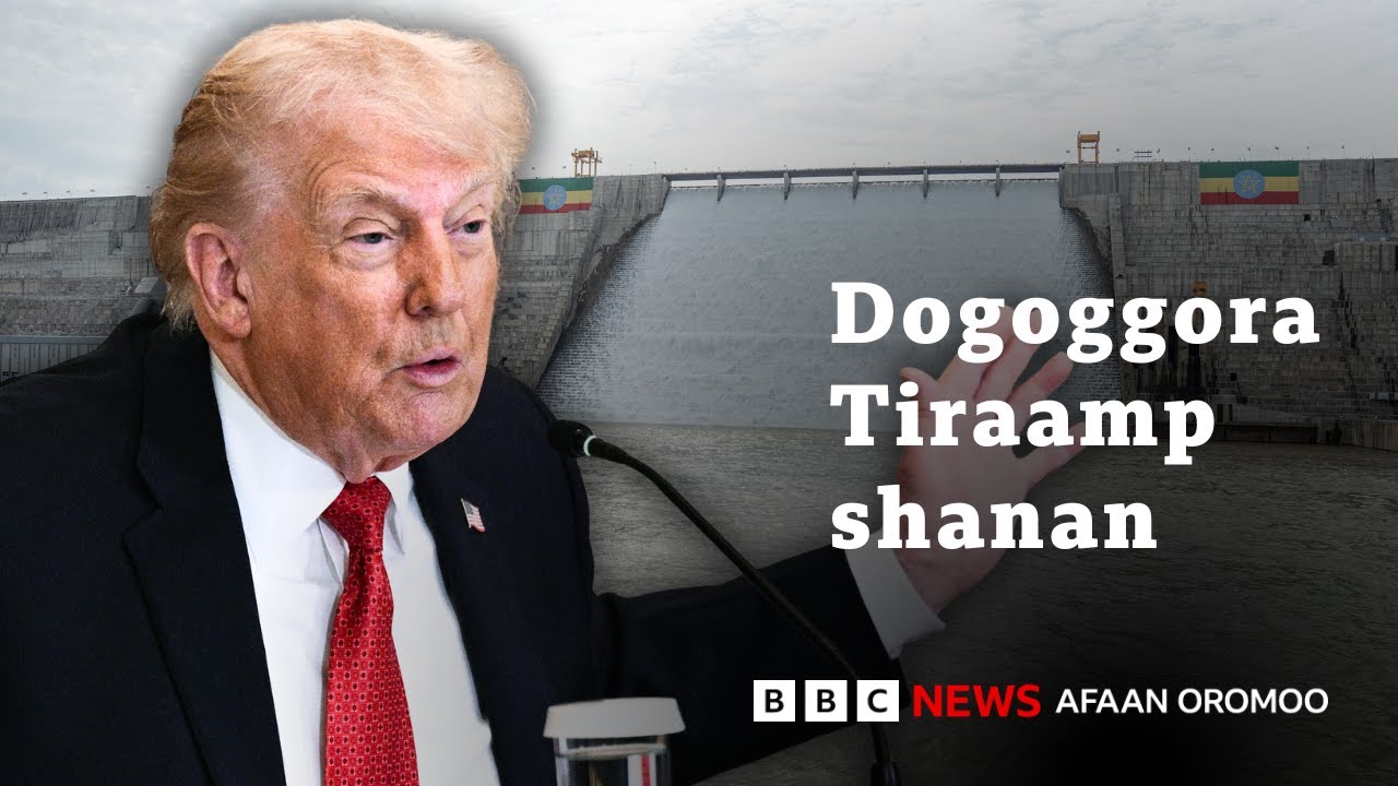 Wantoota ijoo shan Tiraamp waa’ee Itoophiyaa dogongoran | BBC News Afaan Oromoo