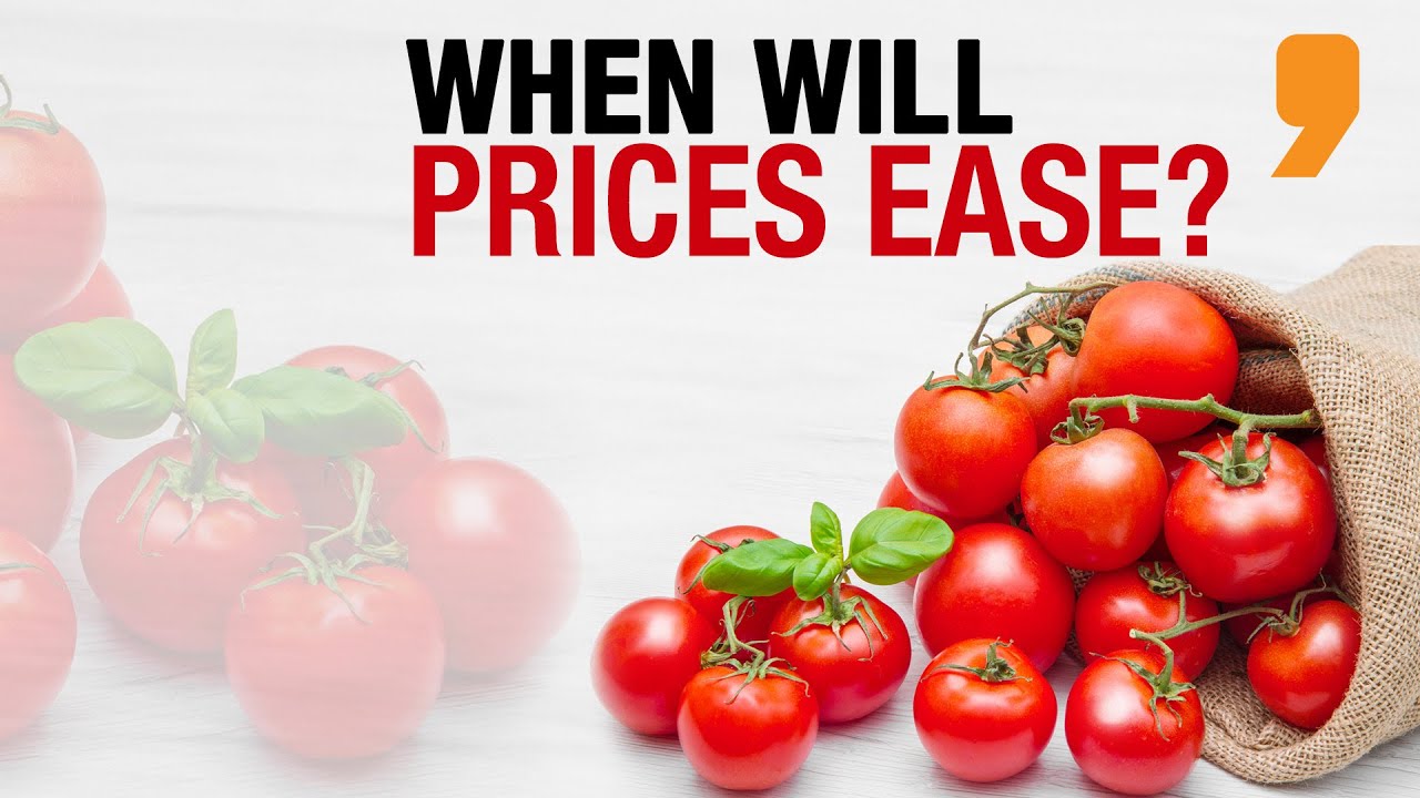 Tomato Prices Rise: Will they cool down soon? | Business News | News9