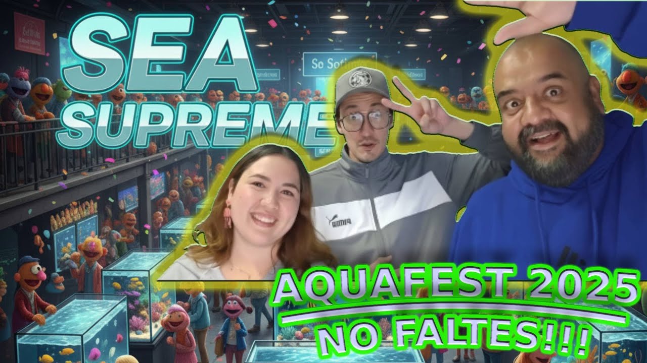 ¡El paraíso marino oculto! 🐠 Descubre SEA SUPREME y lo que traerán a AQUAFEST 2025 🔥🌊