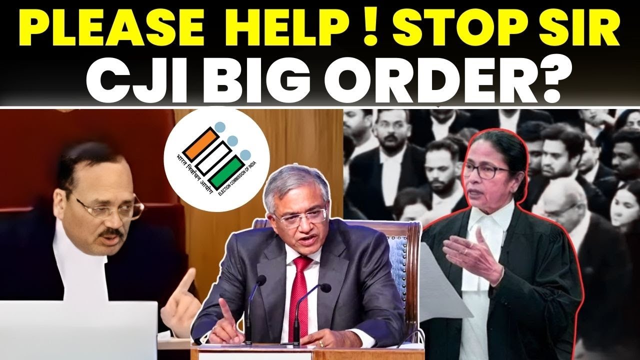 'PLEASE HELP ! STOP SIR 