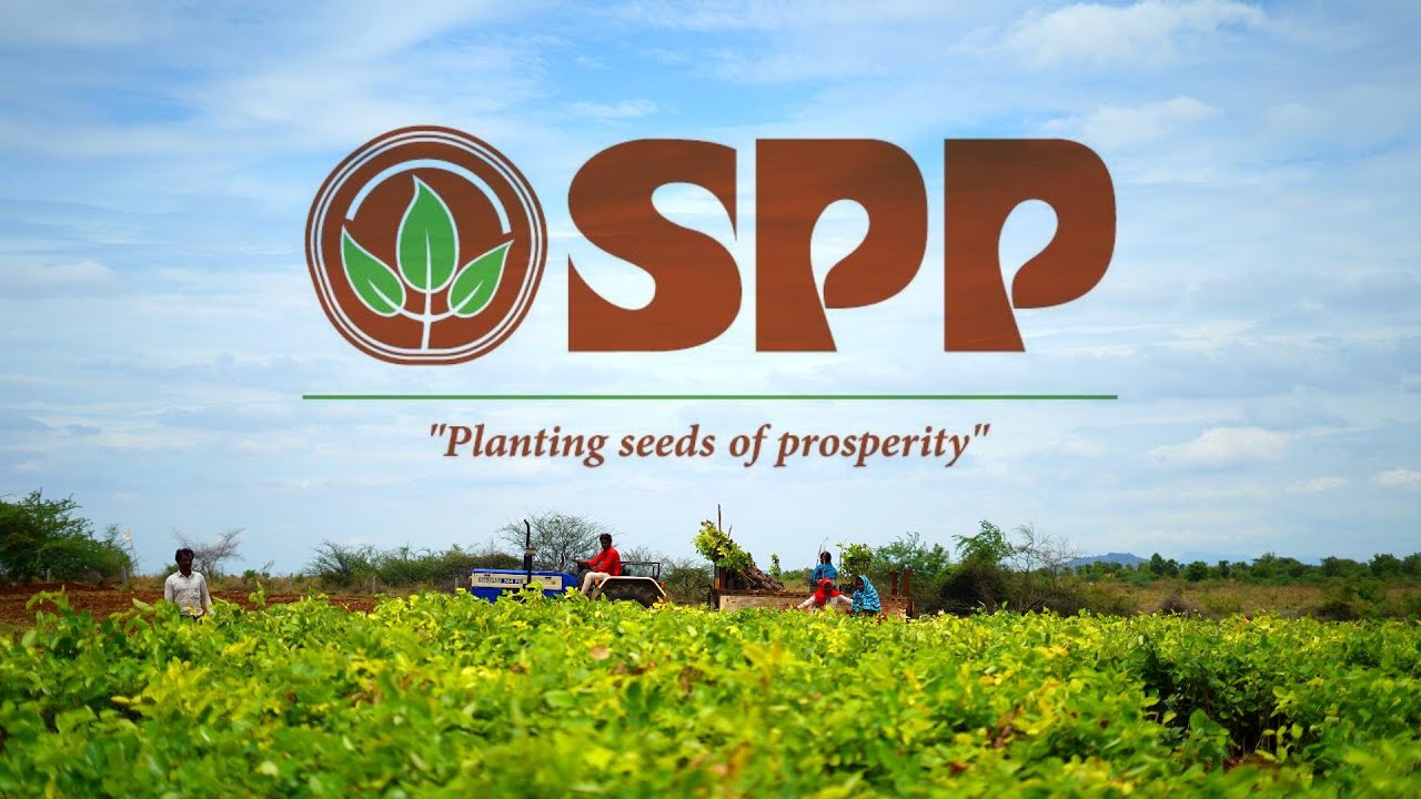 SPP REDSANDAL PLANTATIONS | Sai Properties & Projects Ltd |