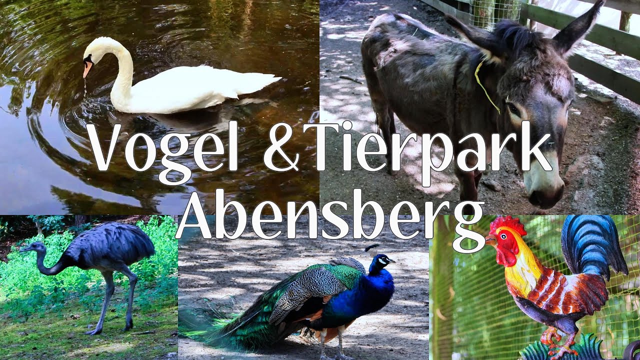 Birds and Animals Park|Vogel & Tierpark|Abensberg|Germany