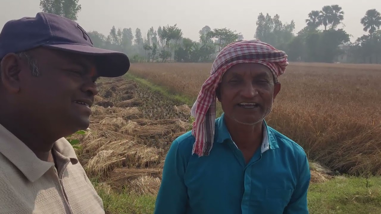 Dosto Mera sabji farming and Chacha ka khet and 🌳 plant#Farming #agriculture 