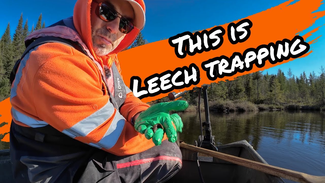 A DAY in the LIFE of a LEECH TRAPPER, when I'm not MUSKY FISHING...