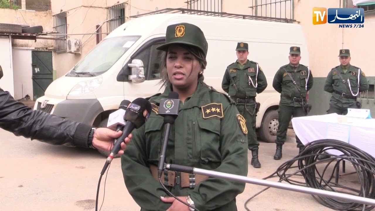 تلمسان:  توقيف 9 أشخاص تورطوا في سرقة كوابل نحاسية لشبكة اتصالات الجزائر