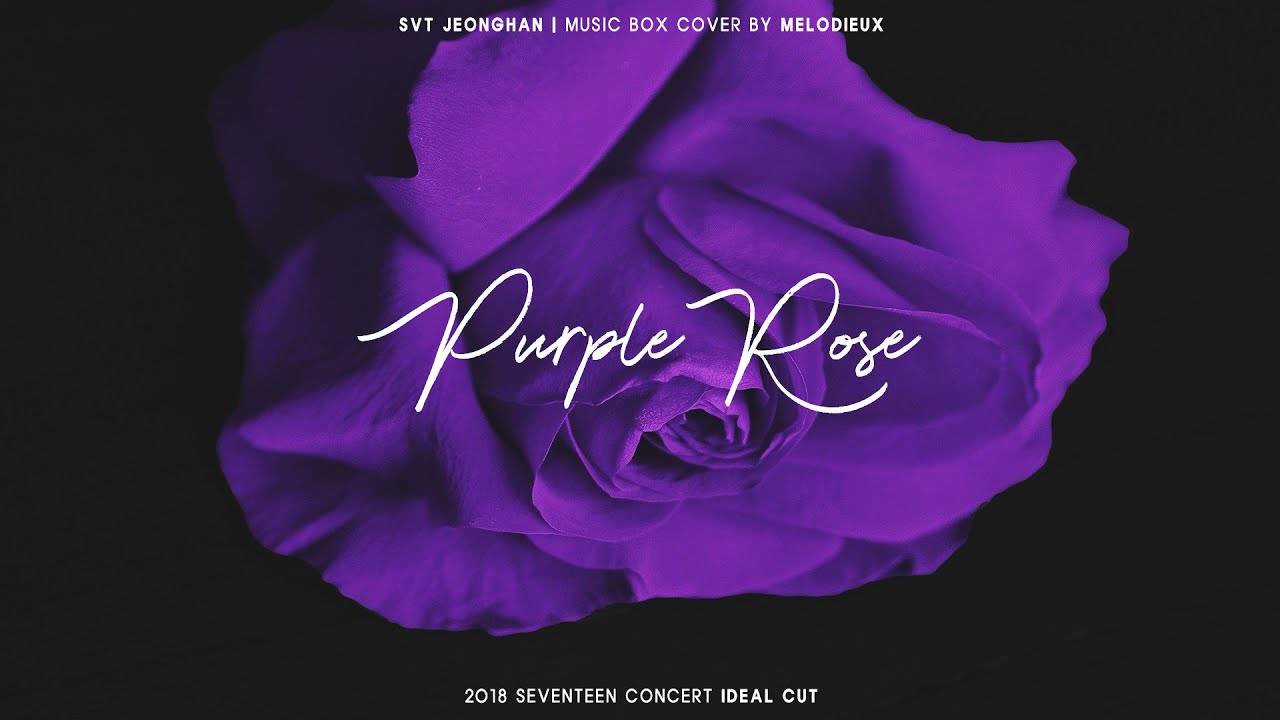 세븐틴 정한 (JEONGHAN Of SEVENTEEN) - PURPLE ROSE (Music Box Ver.) | 오르골 커버 버전