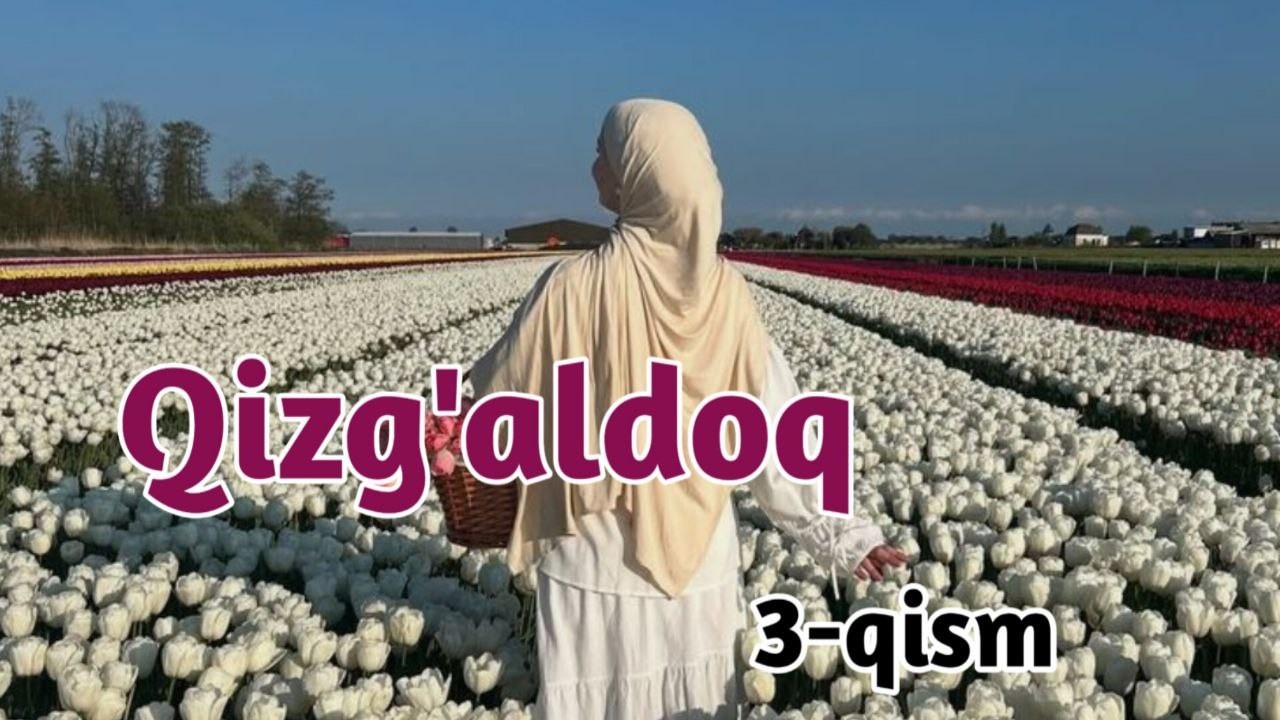 Qizg`aldoq | 3 - qism |Zamonaviy hikoya | @Orom_Official