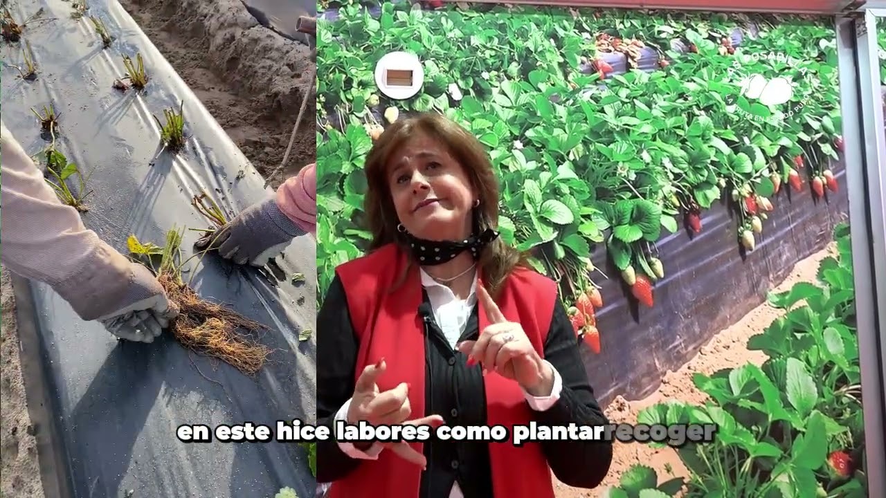 MOGUER ES MUJER: María Isabel Estévez