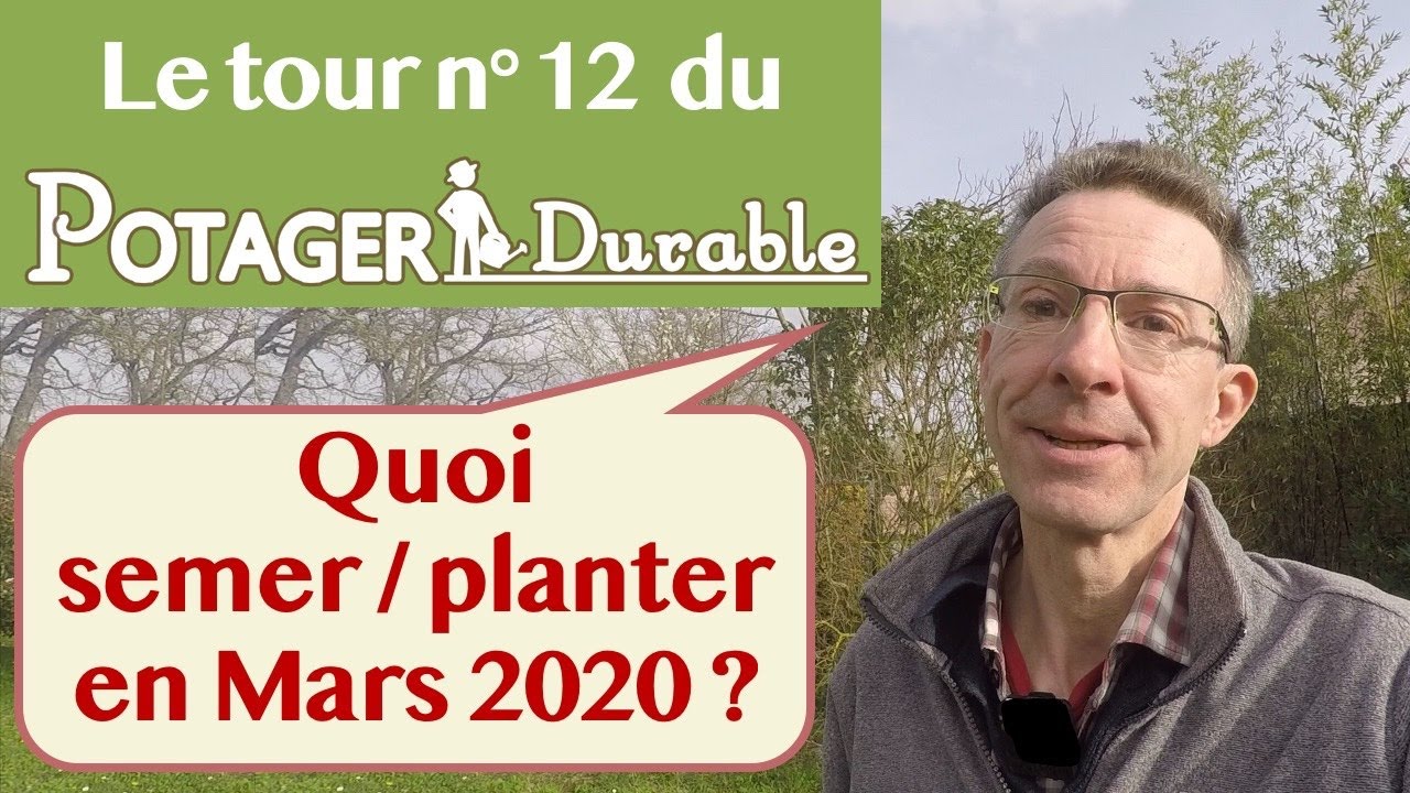 Que semer ou planter en mars 2020 au potager ?